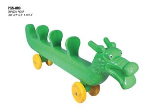 DRAGON RIDER